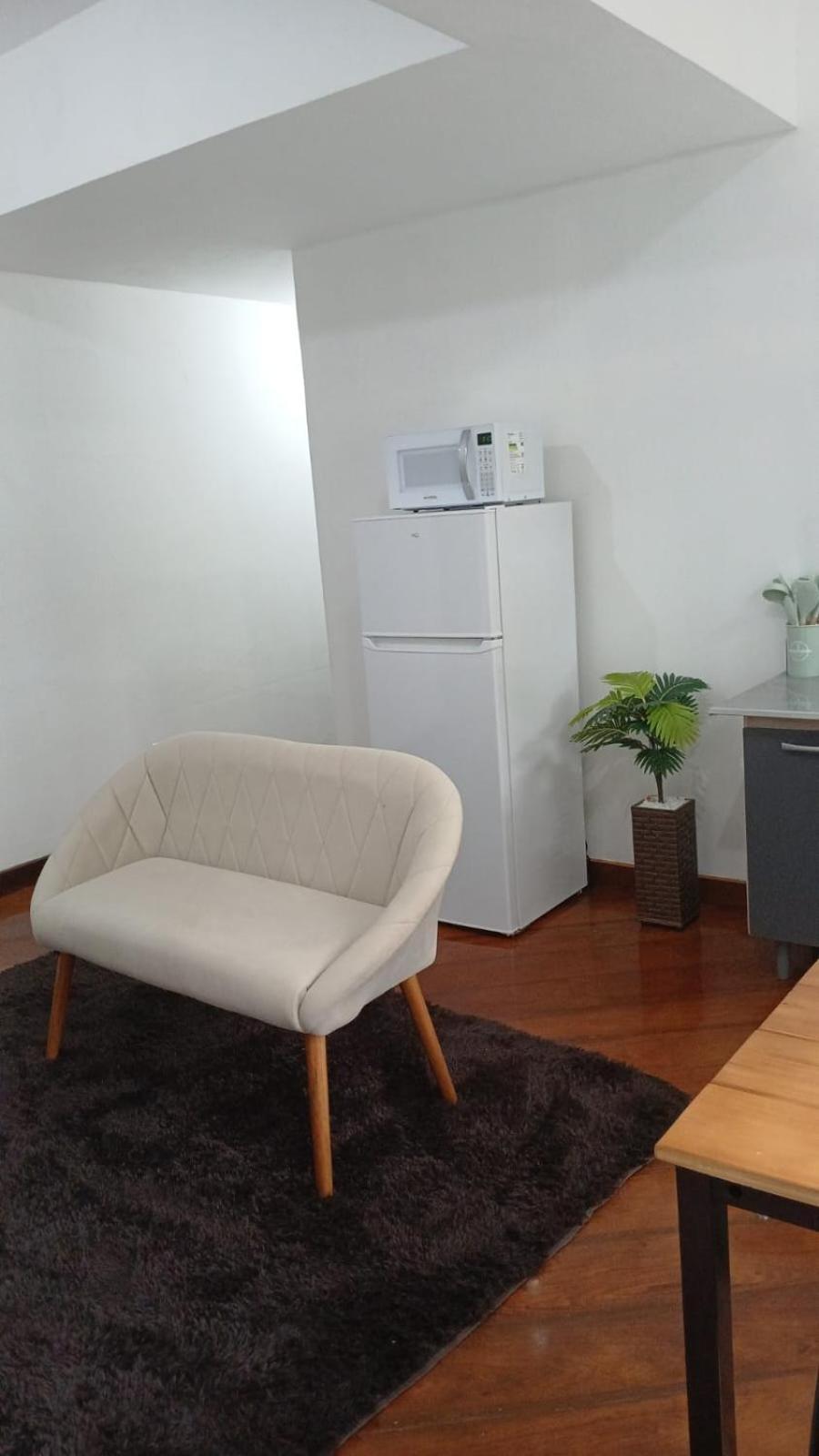 Flat Mobiliado, Aconchegante No Coracao Do Jardim Chapadao - Campinas (Sao Paulo)
